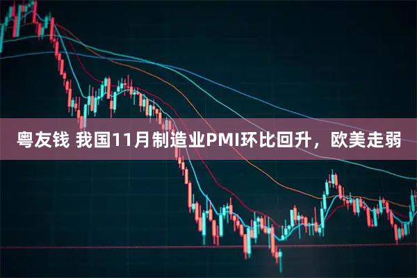 粤友钱 我国11月制造业PMI环比回升，欧美走弱