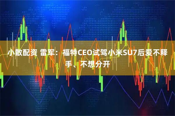 小散配资 雷军：福特CEO试驾小米SU7后爱不释手、不想分开