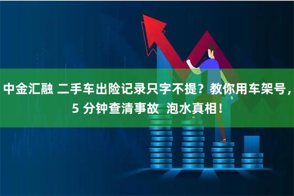中金汇融 二手车出险记录只字不提？教你用车架号，5 分钟查清事故  泡水真相！