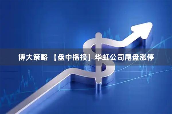 博大策略 【盘中播报】华虹公司尾盘涨停