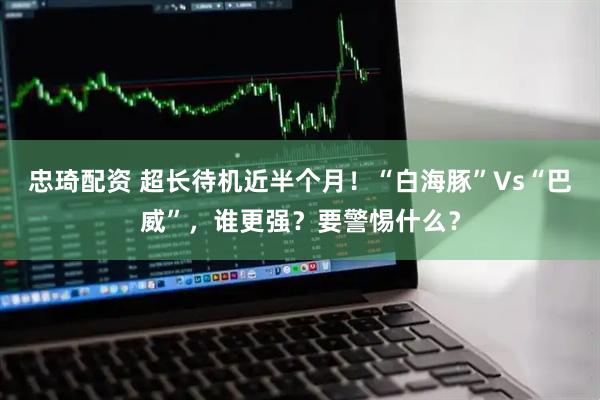 忠琦配资 超长待机近半个月！“白海豚”Vs“巴威”，谁更强？要警惕什么？